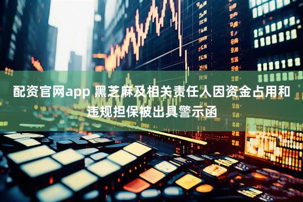配资官网app 黑芝麻及相关责任人因资金占用和违规担保被出具警示函