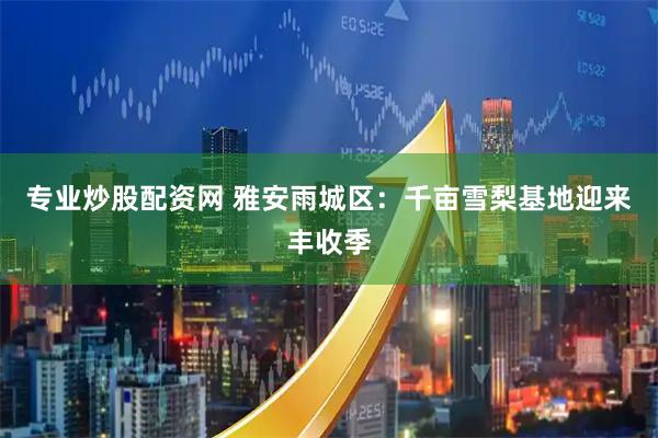 专业炒股配资网 雅安雨城区：千亩雪梨基地迎来丰收季
