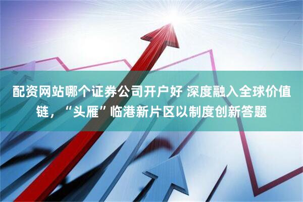 配资网站哪个证券公司开户好 深度融入全球价值链，“头雁”临港新片区以制度创新答题