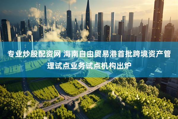 专业炒股配资网 海南自由贸易港首批跨境资产管理试点业务试点机构出炉